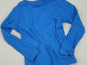 bluzka z lisem: Blouse, SinSay, 9 years, 128-134 cm, condition - Very good
