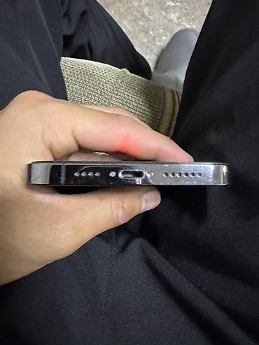 Apple iPhone: IPhone 13 Pro Max, Черный — 9