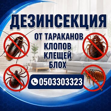 очаг: Дезинфекция, дезинсекция, | Клопы, Блохи, Тараканы, | Офисы, Квартиры, Дома — 1