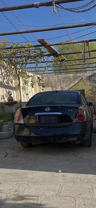 accent 2005: Nissan Altima: 2.5 l | 2005 il Sedan — 2