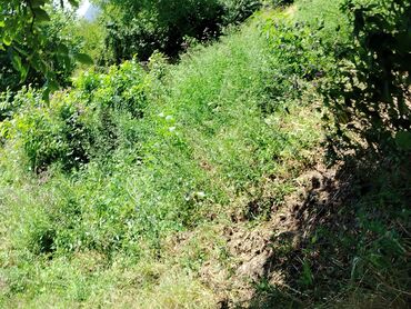 Torpaq sahələrinin satışı: Tikinti — 15