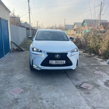 Lexus: Lexus NX: 2017 г., Кроссовер — 3