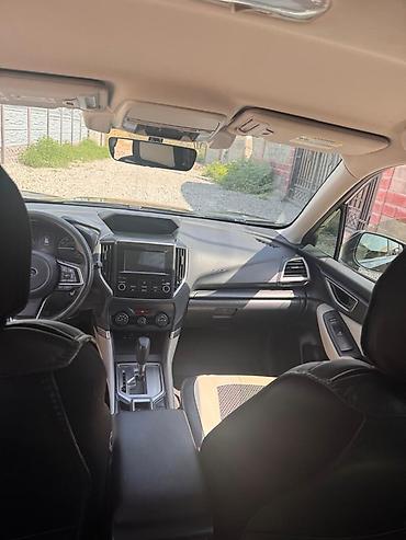 forest: Subaru Forester: 2018 г., Кроссовер — 5