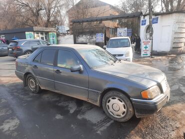 Mercedes-Benz: Mercedes-Benz S-Class: 1993 г., 1.8 л, Механика, Газ, Седан