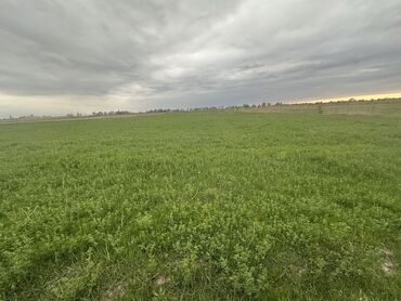 эгин жер: 3000 соток, Айыл чарба үчүн, Техпаспорт