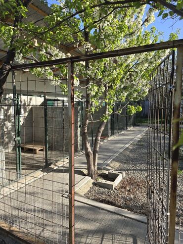 Другие услуги: Зоостиница Гостиница для собак Платная передержка Вам срочно — 4