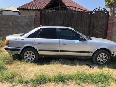 двери на ауди 100: Серебристый седан Audi 100 с тонированными стеклами и дисковыми