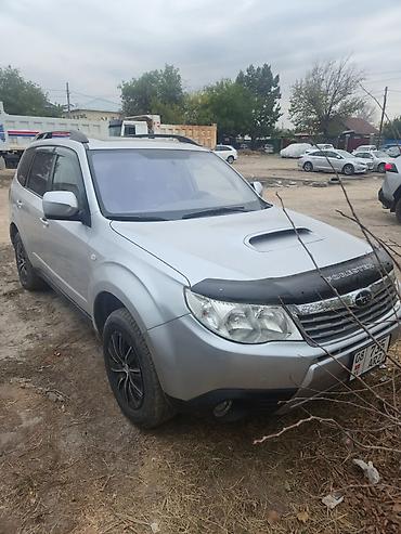 forester 2004: Subaru Forester: 2008 г., Автомат, Газ, Кроссовер — 1
