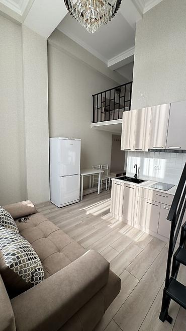 Продажа квартир: 1 комната, 29 м², Аламедин-1 мкр Элитка, 4 этаж, Свежий ремонт — 3