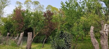 Günlük kirayə evlər: 120 kv. m, 3 otaqlı, Qaz, İşıq, Su — 24