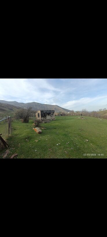 Torpaq sahələrinin satışı: 30 sot, Kənd təsərrüfatı, Barter mümkündür, Kupça (Çıxarış)