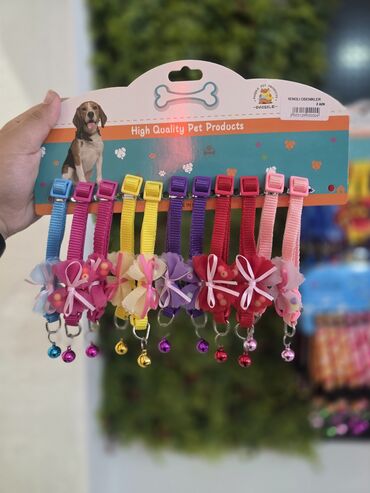 Xaltalar, qayışlar və tasmalar: Pişik və mini itlər üçün boyunbağılar. Taksilə çatdırılma xidmətimiz — 9