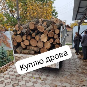 дрова в бишкеке: Дрова Самовывоз