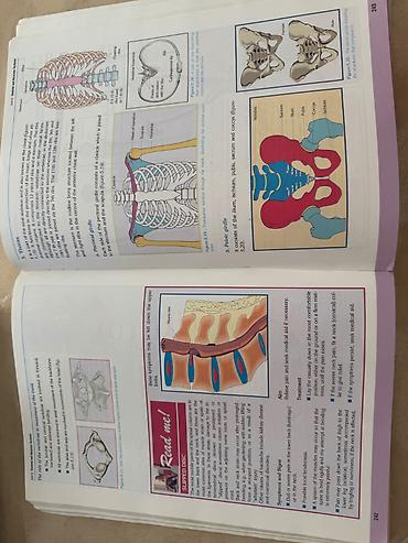 Книги и журналы: Məhsul: “Biology 3” dərsliyi Nəşriyyat: Sürat Publications ( — 4