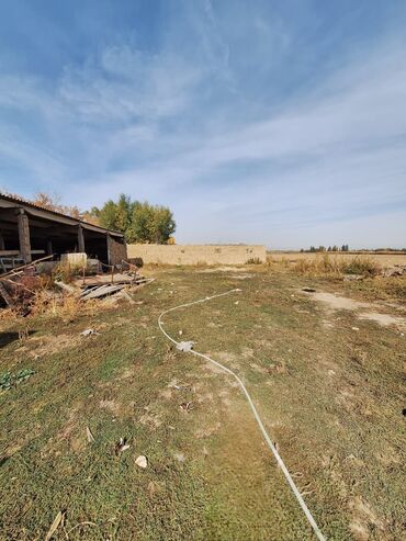 Продажа участков: 44 соток, Красная книга — 3