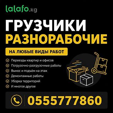 Грузчик. 3-5 лет опыта