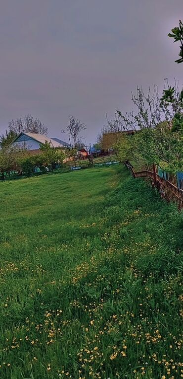 Torpaq sahələrinin satışı: 10 sot, Tikinti, Mülkiyyətçi, Bələdiyyə — 4