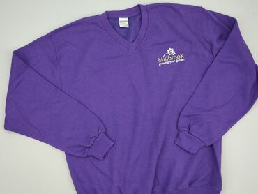 Sweatshirts: Sweatshirt for men, XL (EU 42), condition - Very good