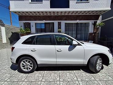 audi sukan: Audi Q5 – ağ rəngli, zərif və funksional premium SUV. Əsas — 3