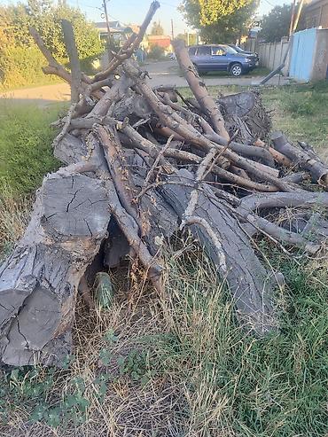 Дрова