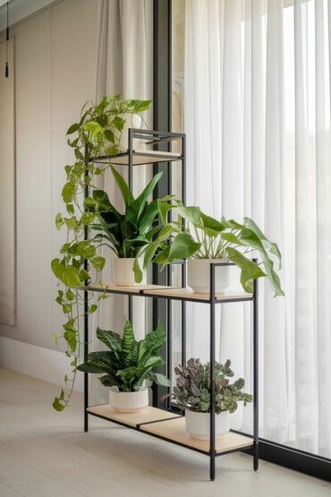 Полки для цветов: На заказ Полки, стеллажи для цветов. для комнатных растений Есть — 6