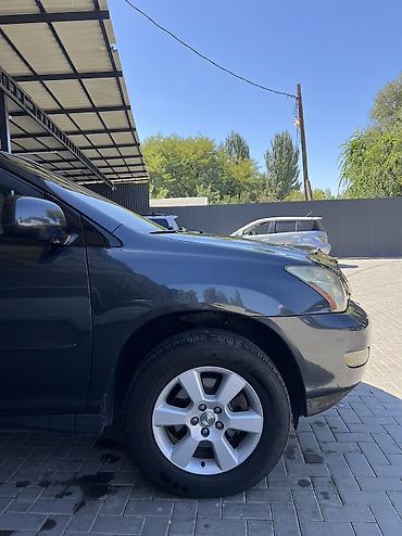 Lexus: Lexus RX: 2004 г., 3.3 л, Автомат, Бензин — 12