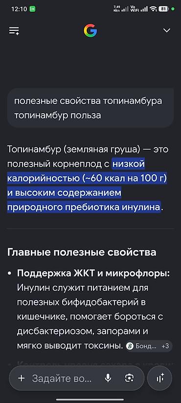 актриса картошка: Топинамбур (земляная груша), свежий урожай.Оптом 10 кг. Нижняя — 5