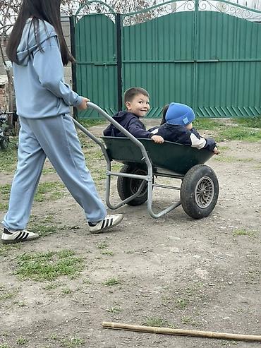 Беседки: Беседка — 8