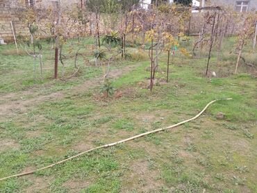 Torpaq sahələrinin satışı: 3 sot, Tikinti, Kupça (Çıxarış) — 7