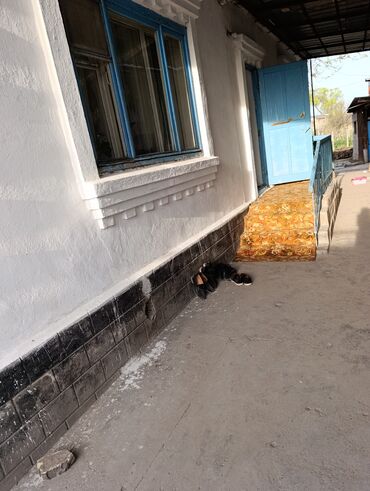 Продажа домов: Дом, 100 м², 4 комнаты, Собственник — 3