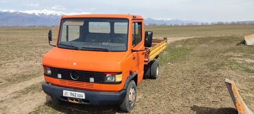 Mercedes-Benz: Mercedes-Benz Vario: 1992 г., 4 л, Механика, Дизель, Бус