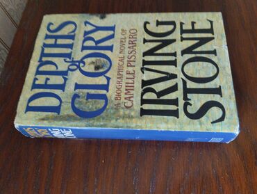 богатый папа бедный папа: Irving Stone "Depths of Glory". Van Qoq haqqında "Yaşamaq yanğısı"