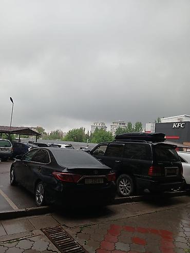 1: 1 комната, Риэлтор, Без подселения — 2