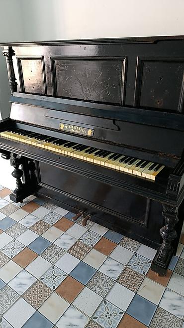 Antik şaquli piano – W. Paternoster, Görlitz. Xüsusiyyətlər: -