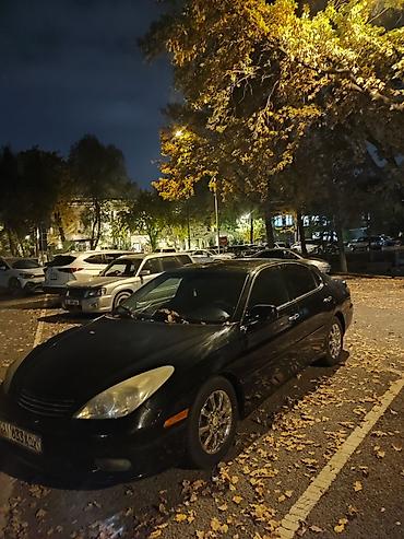 каракол мото: Lexus ES: 2003 г., 3 л, Автомат, Бензин, Седан — 3