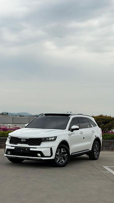 Kia: Kia Sorento: 2020 г., 1.6 л, Автомат, Гибрид — 2