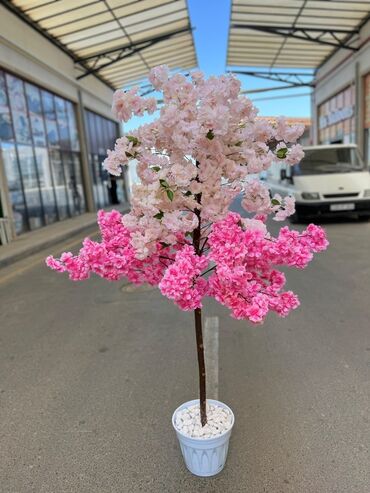 Süni güllər: Daxili və xarici məkanlar üçün nəzərdə tutulmuş süni dekorativ ağac -da lalafo.az — 4 Süni güllər: Daxili və xarici məkanlar üçün nəzərdə tutulmuş süni dekorativ ağac — 4