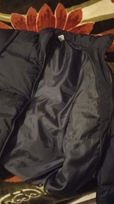 Kurtkalar: Kurtka, Bolonka, Qış, Lacoste, S — 8