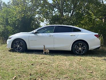Транспорт: Chevrolet Malibu: 1.5 л | 2018 г. 255000 км Седан — 3