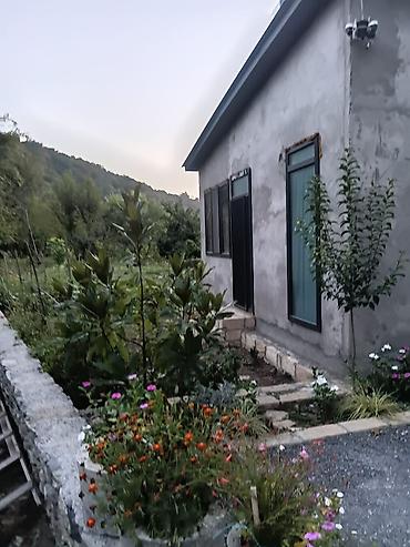 Bağ evlərinin kirayəsi: 100 kv. m, 3 otaqlı, Hovuzlu, İşıq — 13