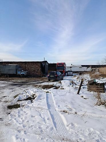 Аренда коммерческой недвижимости: Промышленная база/складская площадка с ангарами - Территория — 3