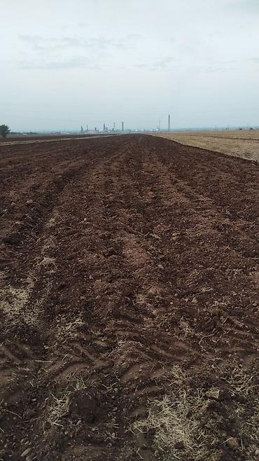 Куплю земельный участок: Продаётся хорошая поливная земля в городе карабалта возле — 2