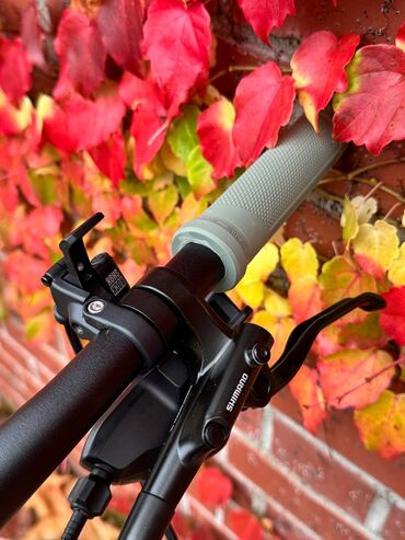 Горные велосипеды: Горный велосипед, Cube, Рама L (172 - 185 см), Алюминий, Новый — 5