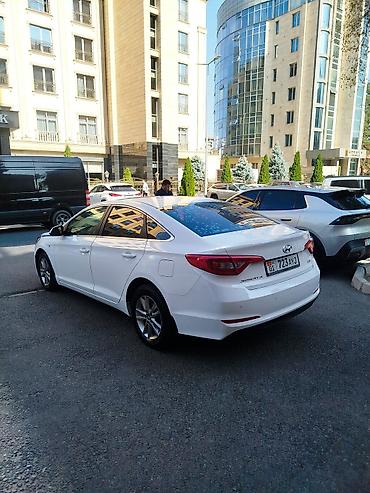 Hyundai: Hyundai Sonata: 2016 г., 2 л, Автомат, Газ, Седан — 3
