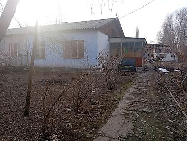 Продажа коттеджей и домов: 🏠 Продается уютный дом в с. Сретенка (ул. Калинина, 19/2) Идеальный — 2