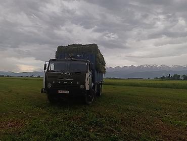 камаз кум: Грузовик, Камаз, Б/у — 5