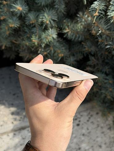 1 наушник: IPhone 16 Pro Max, Колдонулган, 256 ГБ, Desert Titanium, Заряддоочу түзүлүш, Коргоочу айнек, Каптама, Бөлүп төлөө менен, 91 % — 4