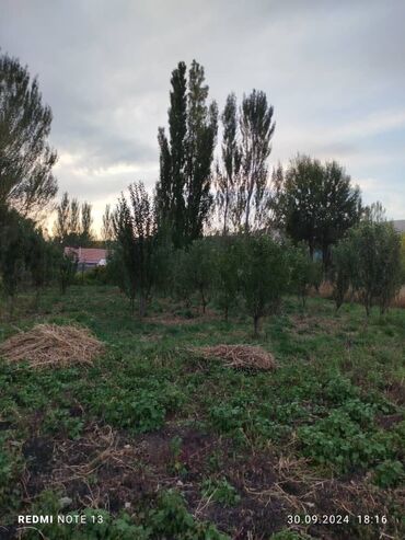 асанбай дом: Үй, 68 кв. м, 4 бөлмө, Менчик ээси, Эски ремонт