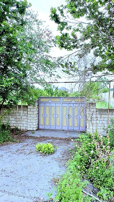 Torpaq sahələrinin satışı: 24 sot, Tikinti, Mülkiyyətçi, Kupça (Çıxarış) — 1