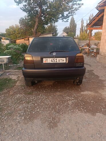 Volkswagen: Volkswagen Golf: 1995 г., 1.6 л, Механика, Бензин, Хэтчбэк — 2